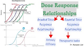 Dose Response Relationship  Potency  Efficacy  Therapeutic Index  Pharmacodynamics Pharmacology [upl. by Bekah491]