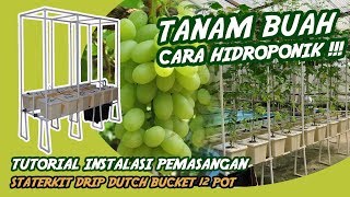 MENANAM BUAH HIDROPONIK Tutorial pemasangan Staterkit DRIP 12 Pot tutorial drip hidroponik Buah [upl. by Tolland31]