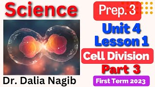 Cell Division Science Prep 3 Unit 4 Lesson 1 ساينس تالته اعدادي ترم اول Part 3 2023 [upl. by Steinberg]