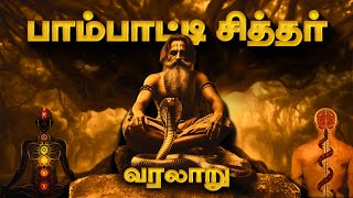 Paambatti Sithar History 🐍 பாம்பாட்டி சித்தர் வரலாறு  Siddhar Ragasiyam in Tamil [upl. by Hew]