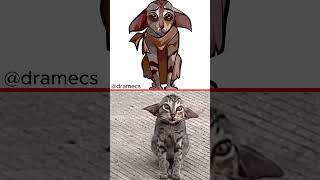 When will Dobby be free  Cat Meme Art cat catmemes catmeme [upl. by Jack]