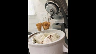 How to Use Kitchenaid Ice Cream Maker [upl. by Ylenats]