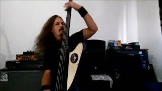 System Of A Down  Toxicity Bass Cover [upl. by Steere466]