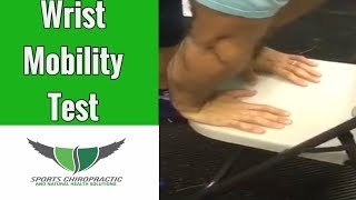 Wrist Mobility Test [upl. by Cleo]