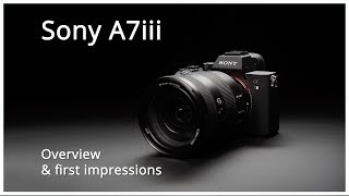 A7iii overview and first impressions [upl. by Nonnarb]