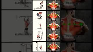 The PERFECT Back Workout Sets and Reps Included shorts [upl. by Niela]