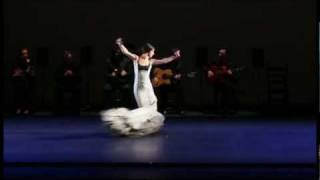 FLAMENCO FESTIVAL MIAMI 2012 [upl. by Annid]