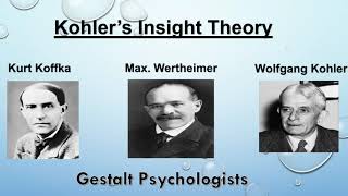 Insight theory of learning by kohler  Insight theory of learning by gestalt  Gestalt theory  Bed [upl. by Yelnoc122]