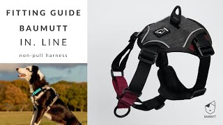 How to Fit BAUMUTT IN  LINE nonpull harness [upl. by Endys]