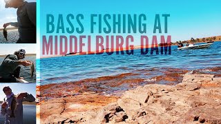 Surprisingly awesome bass fishing at Middelburg Dam [upl. by Standford]