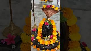 pradosh vratKatha Shiv Parvati Katha [upl. by Haveman298]