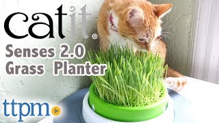 Senses 20 Grass Planter from Catit [upl. by Nirraj]