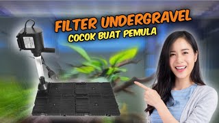 cara pasang undergravel filter power head [upl. by Eilraep]