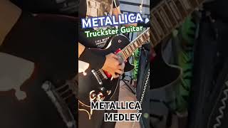 METAL MILITIA catvideos metalversion catlover metallics [upl. by Schafer]