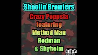 Shaolin Brawlers feat Method Man  Redman  Shyheim [upl. by Hashim]