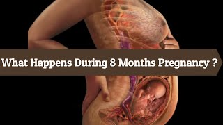 8 Months Pregnancy and Baby’s development in 8 month pregnancy Month by Month [upl. by Ariom224]