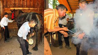 Blacksmith Shoeing a Horse [upl. by Gabie687]