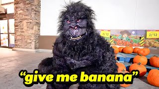 WILLITO Scares People In GORILLA Costume FUNNY [upl. by Onimixam540]