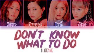 BLACKPINK  DONT KNOW WHAT TO DO color coded lyrics 가사  ENG HAN ROM [upl. by Robson]