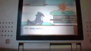 Where to Find Absol In Pokemon Platinum [upl. by Ikkir991]