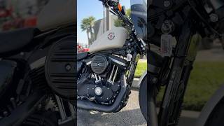 2022 Sportster Iron 883 mostly stock and barely broken in💨 HarleyDavidson Stock AmericanMuscle [upl. by Suzy]