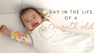 7 Month Old Baby Day in a Life [upl. by Chesnut]