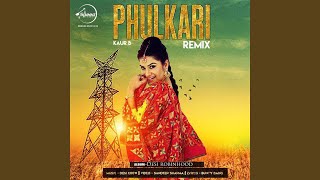 Phulkari Remix [upl. by Orimisac385]