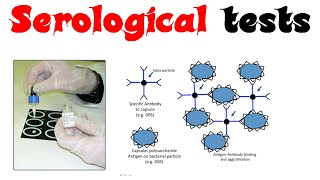 Serological tests [upl. by Aivilo974]