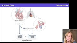 NCLEX® Prep Practice Analyzing Cues in NGN Case Studies [upl. by Alleinad]