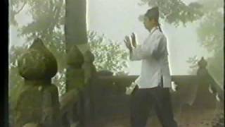 Wudang Tian Gang Gong 武当拳  天罡功 [upl. by Arracot]