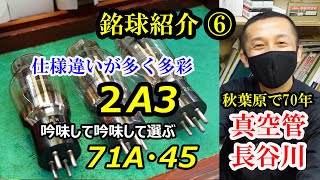 2A3はRCAを起源とする美しい三極管で多くのメーカーで製造されたが仕様が違う事でも有名、特にレアな球は探すのが大変で「見つけてら見逃すな！」と言われるほどペアが揃えにくい銘球 [upl. by Albric]