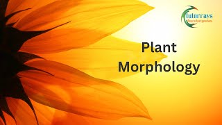 Plant Morphology [upl. by Leventhal]