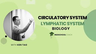 Lymphatic System [upl. by Amlus]