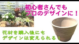 アンゲロニアとオレガノの寄せ植え【ウチ花】角度を変えるとこんなに違う！寄せ植えの基本 [upl. by Rednave791]