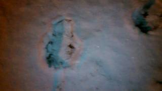 Bigfoot Sasquatch foot prints found in snow [upl. by Aimik589]