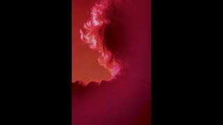 Kali Uchis ummyeah  VERTICAL VIDEO [upl. by Yregerg]