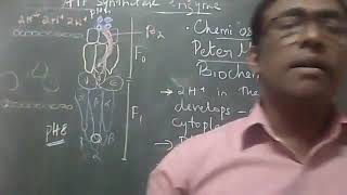 Oxidative Phosphorylation partII Chemiosmotic theory [upl. by Duster]