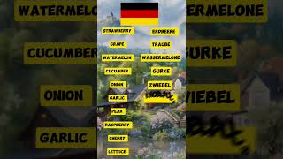 translate these words In German germany languagetranslation facts quiz [upl. by Boykins]