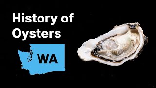 History of Oysters in Washington [upl. by Elad]