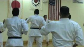 Traditional Karate Class 1 [upl. by Nevlin]