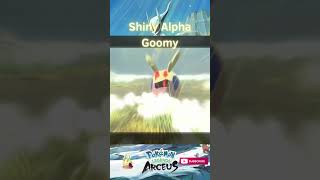 SHINY ALPHA GOOMY shorts shinypokemonhunter pokemonlegendsarceus shinypokemon pokemon [upl. by Halbert]