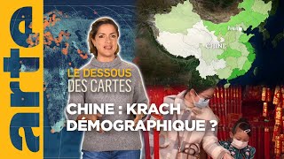 Chine  krach démographique   Le dessous des cartes  L’essentiel  ARTE [upl. by Oicor]