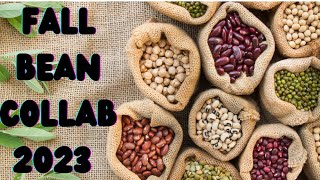 FBC2023 Roll That Beautiful Bean Footage [upl. by Carl]