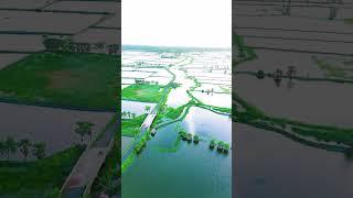 আমাদের গ্রাম Drone View sorts viralshort youtubeshorts dronview [upl. by Ydaf748]