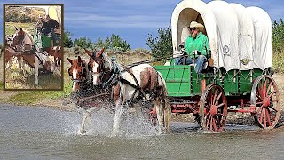 🐎 Rookie Horses TAKE OFF with Covered Wagon 😱  Old West Horse amp Covered Wagon on MT Wagon Train [upl. by Manella]