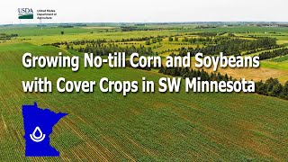 Growing Notill Corn Soybeans and Oats with Cover Crops in Southwestern Minnesota [upl. by Wind]