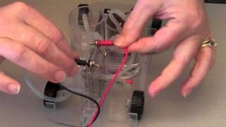 Hydrogen Activity How to Build a Hydrogen Fuel Cell Car [upl. by Imojean]