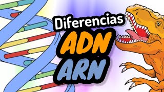 DIFERENCIAS ENTRE ADN y ARN⚡ nivel experto aspectos fundamentalesBIOLOGÍA [upl. by Secilu]