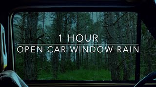 Open Car Window Rain  Rain On Car  Forest Rain  1 hour Rain Sounds for Sleeping [upl. by Arhez]