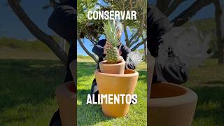 Conserva alimentos 💡 Sin electricidad Pt4 [upl. by Ahsyekal722]